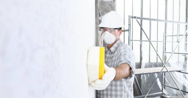 Best Mold Odor Removal Services  in Ogdensburg, NJ