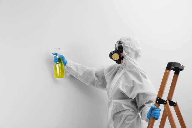 Best Industrial Mold Remediation  in Ogdensburg, NJ